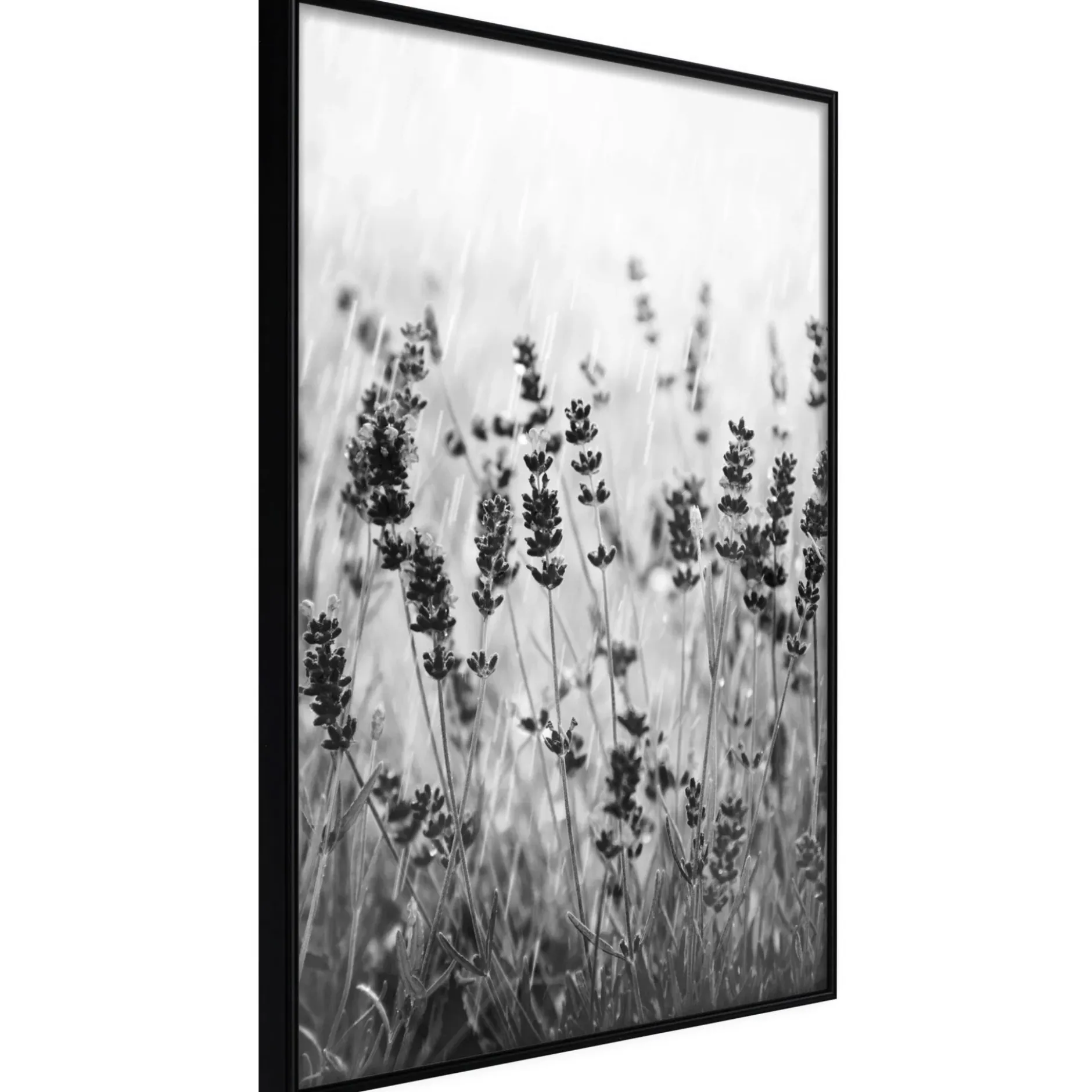Poster 'Shadow of Meadow'
