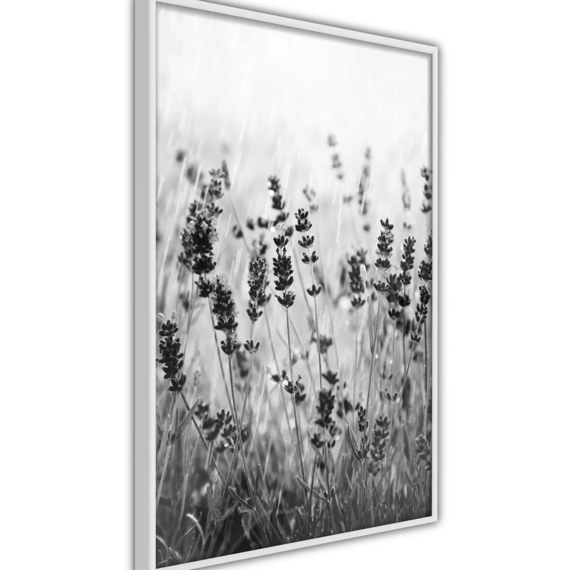 Poster 'Shadow of Meadow'