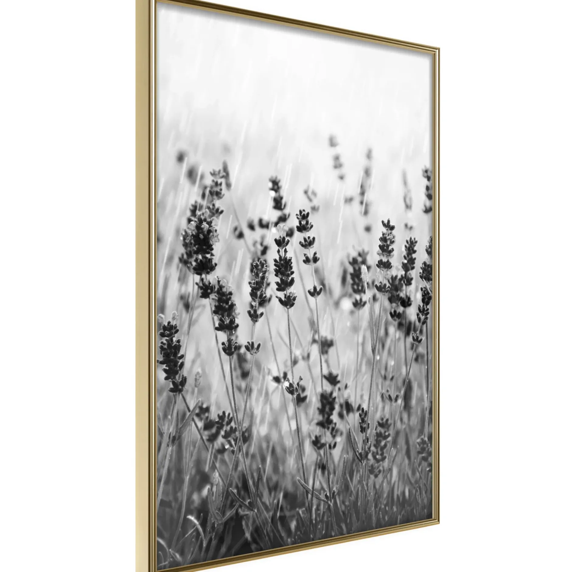 Poster 'Shadow of Meadow'
