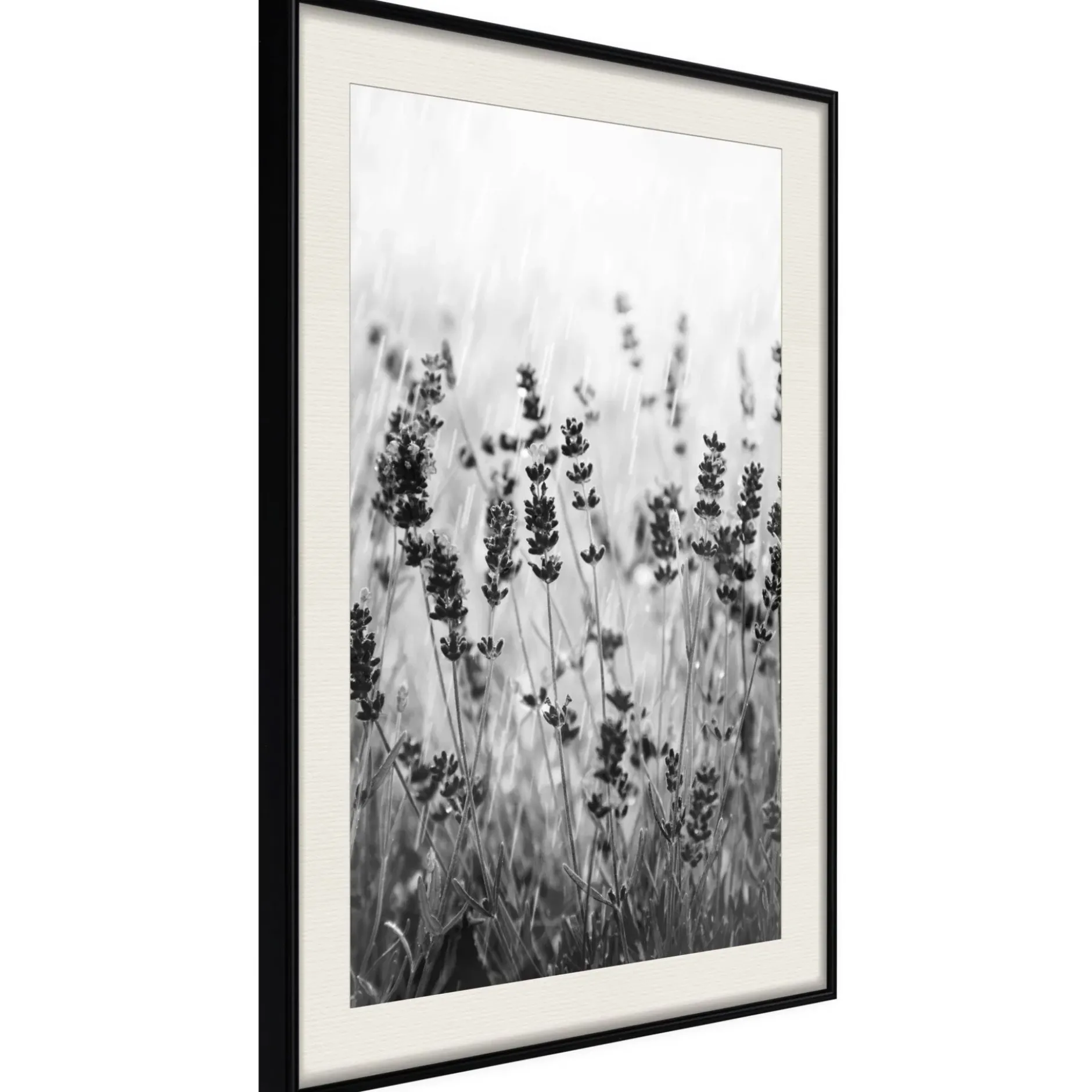 Poster 'Shadow of Meadow'