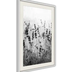 Poster 'Shadow of Meadow'