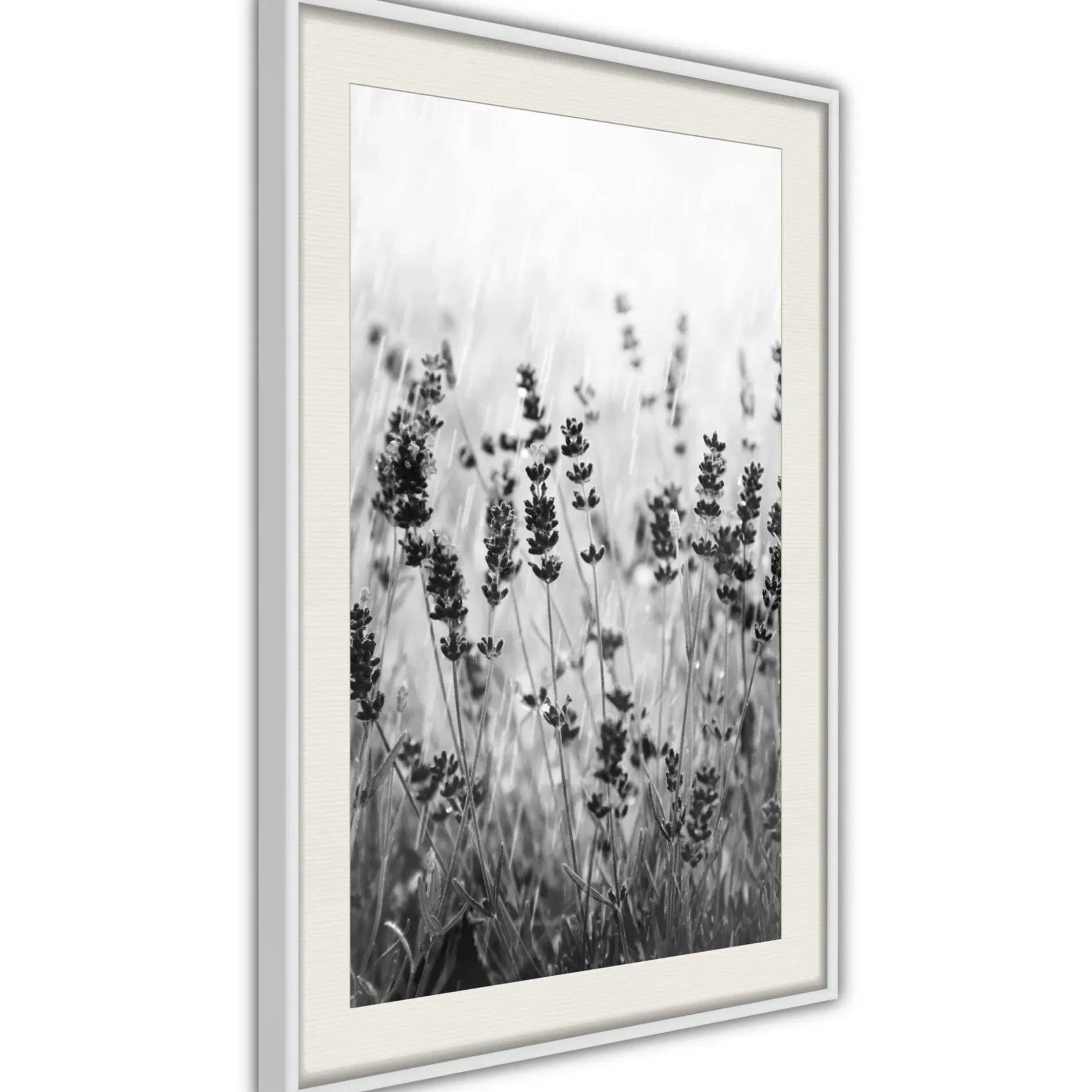 Poster 'Shadow of Meadow'