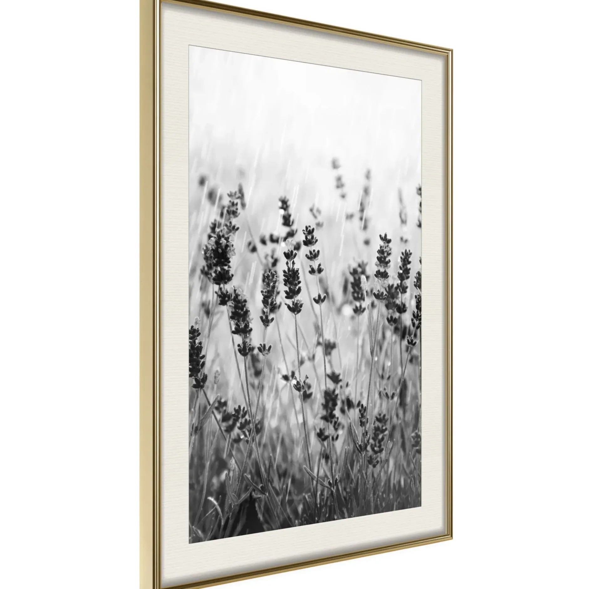 Poster 'Shadow of Meadow'
