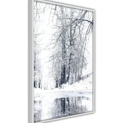 Poster 'Snowy Park'