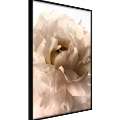 Poster 'Soft Petals'