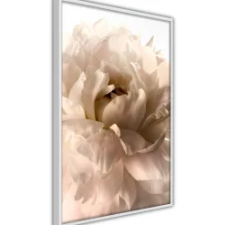 Poster 'Soft Petals'