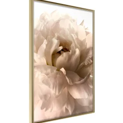 Poster 'Soft Petals'