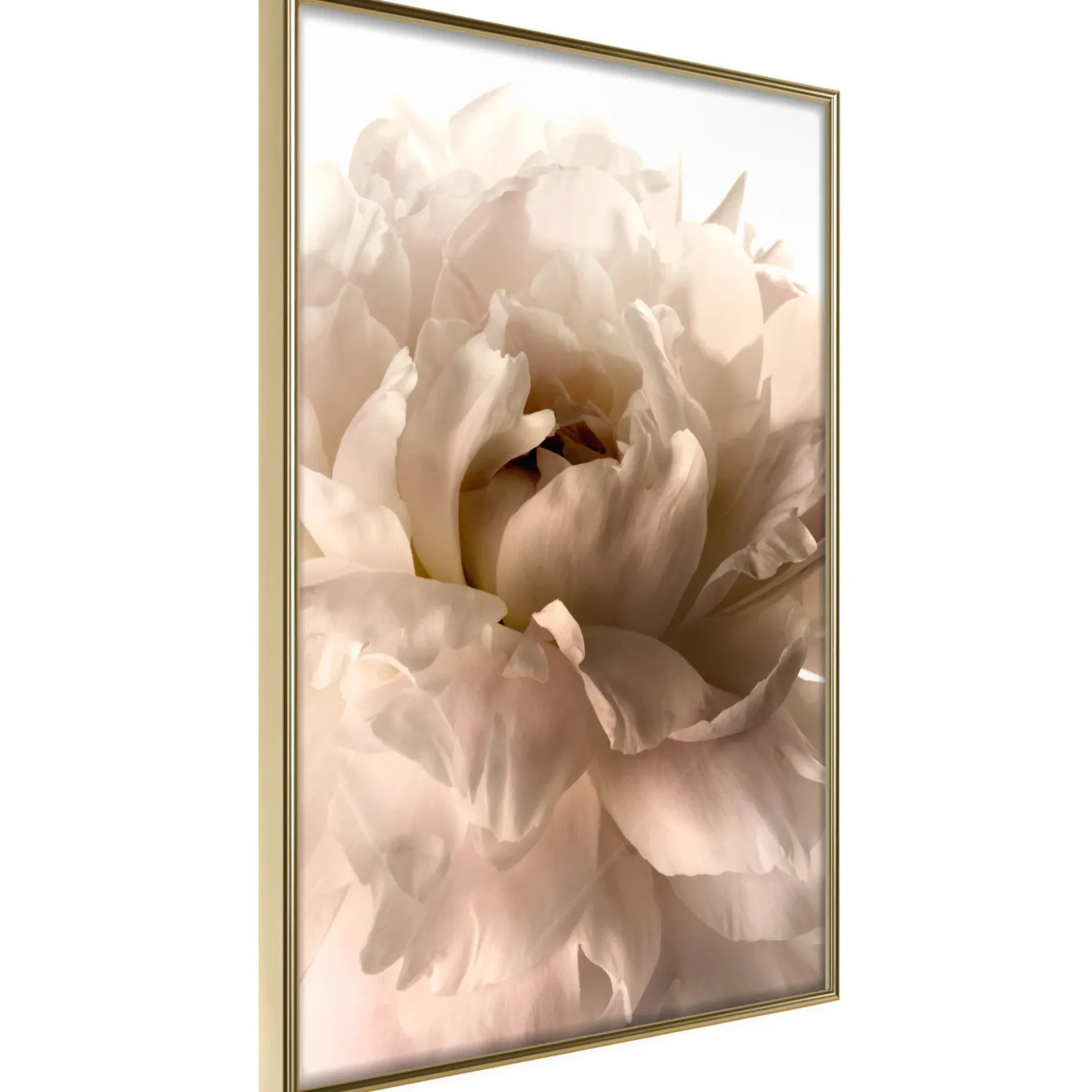 Poster 'Soft Petals'
