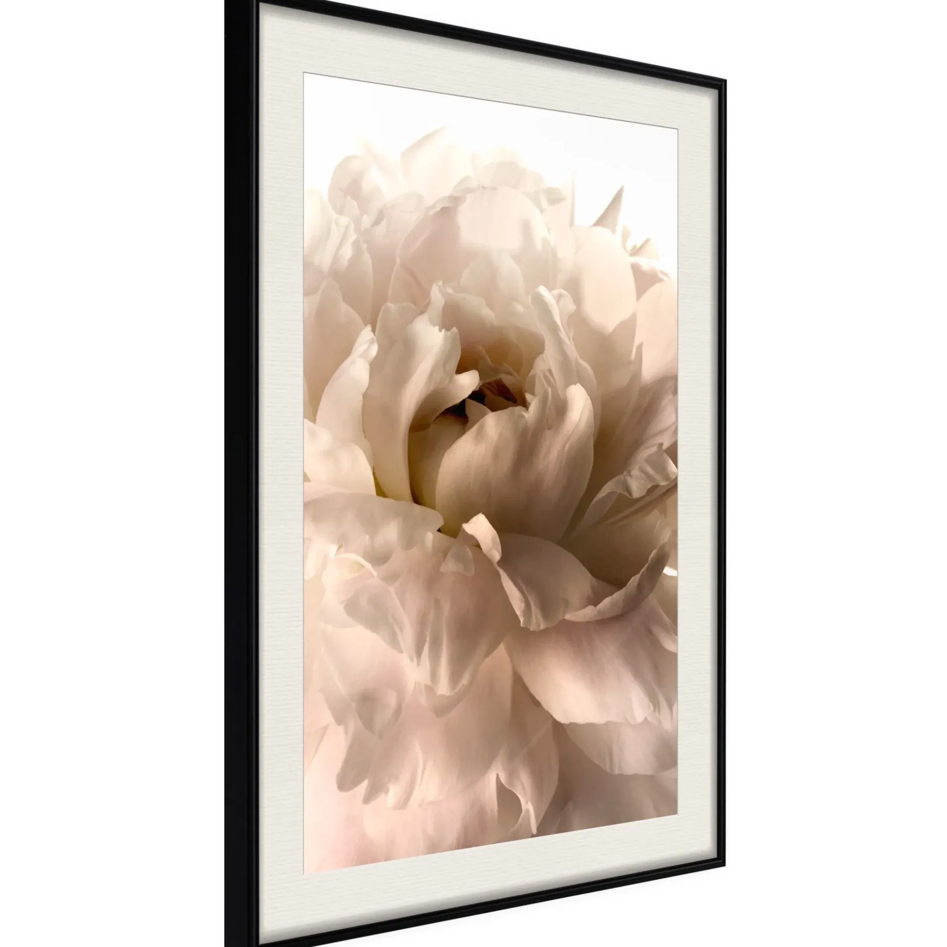 Poster 'Soft Petals'