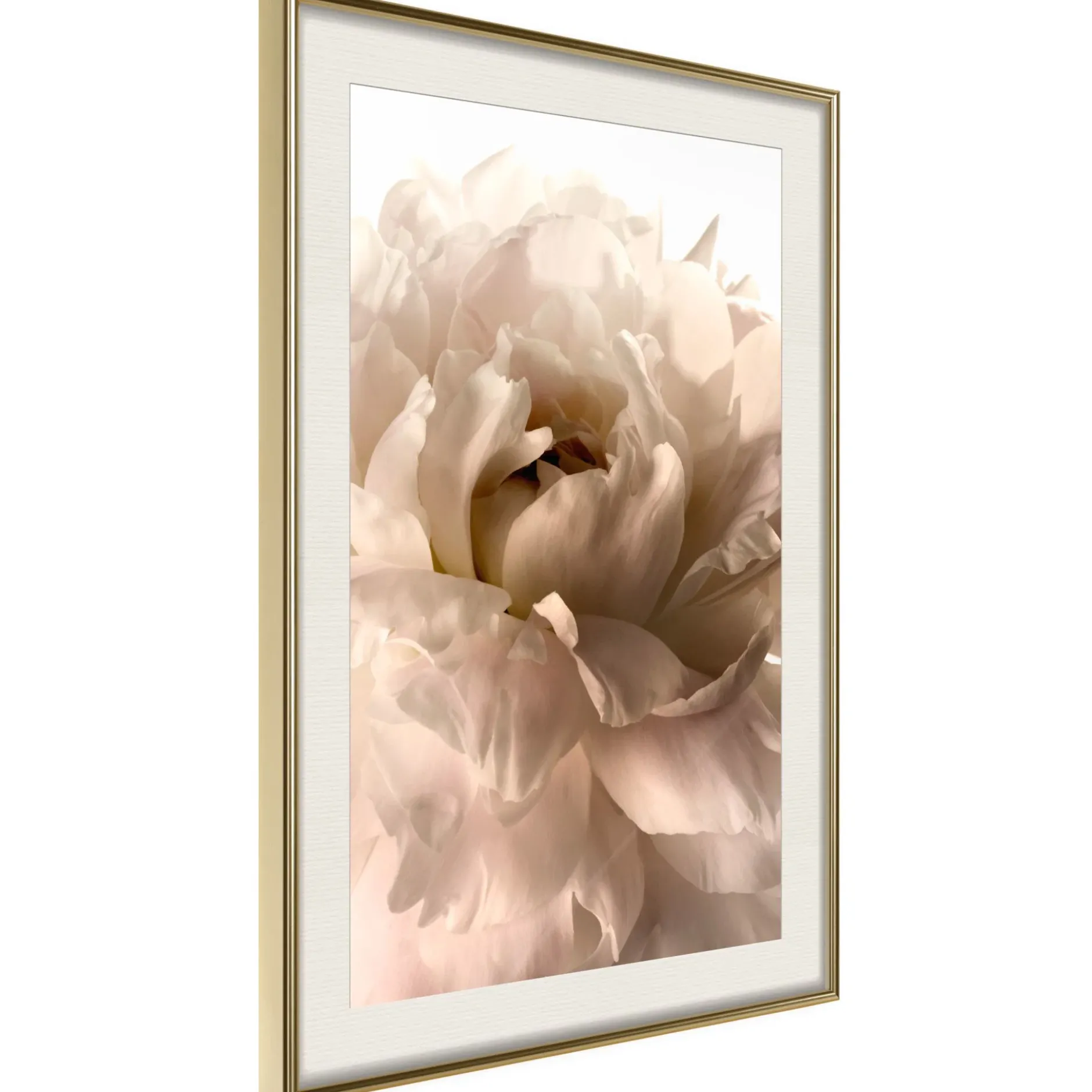 Poster 'Soft Petals'