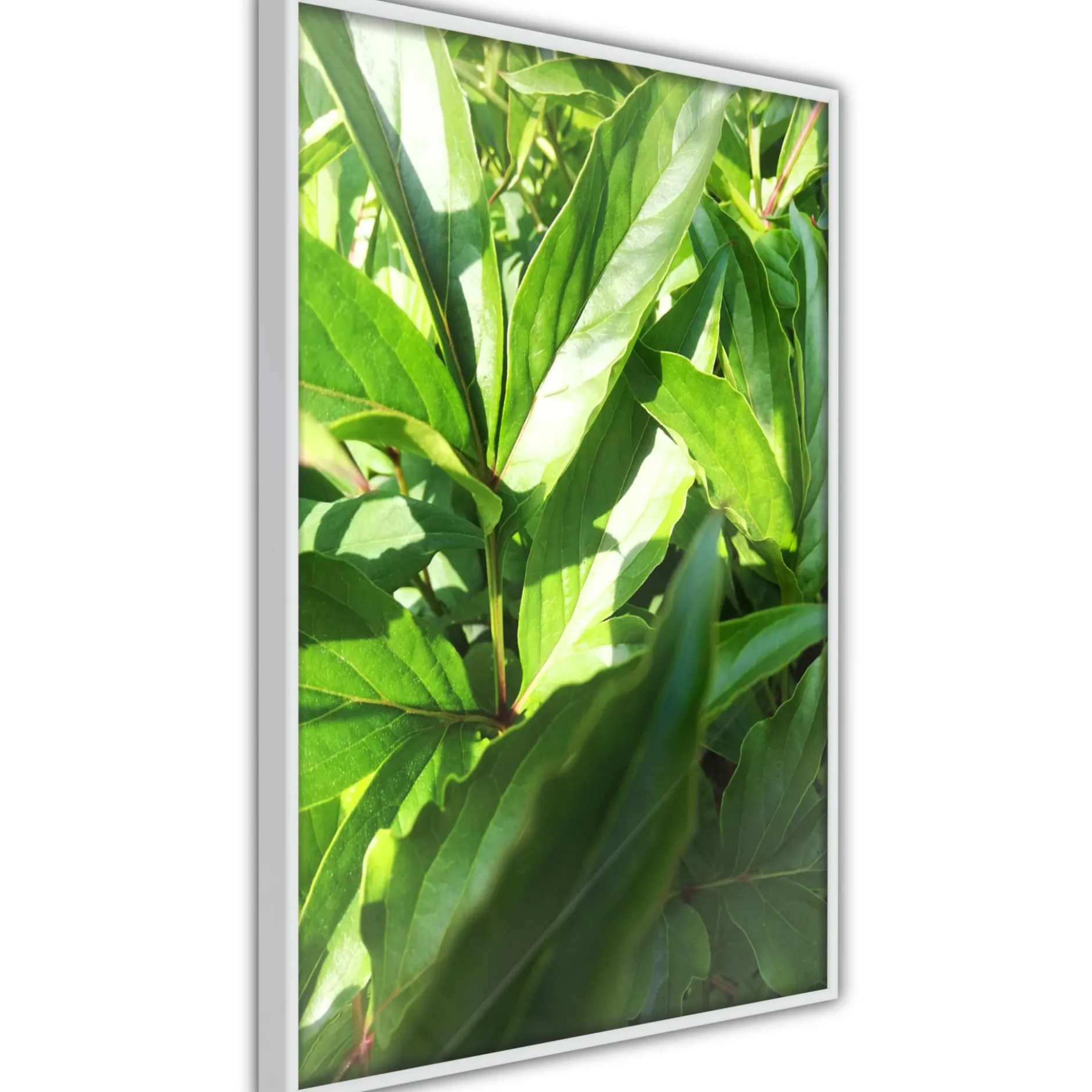 Poster 'Somewhere in the Garden'