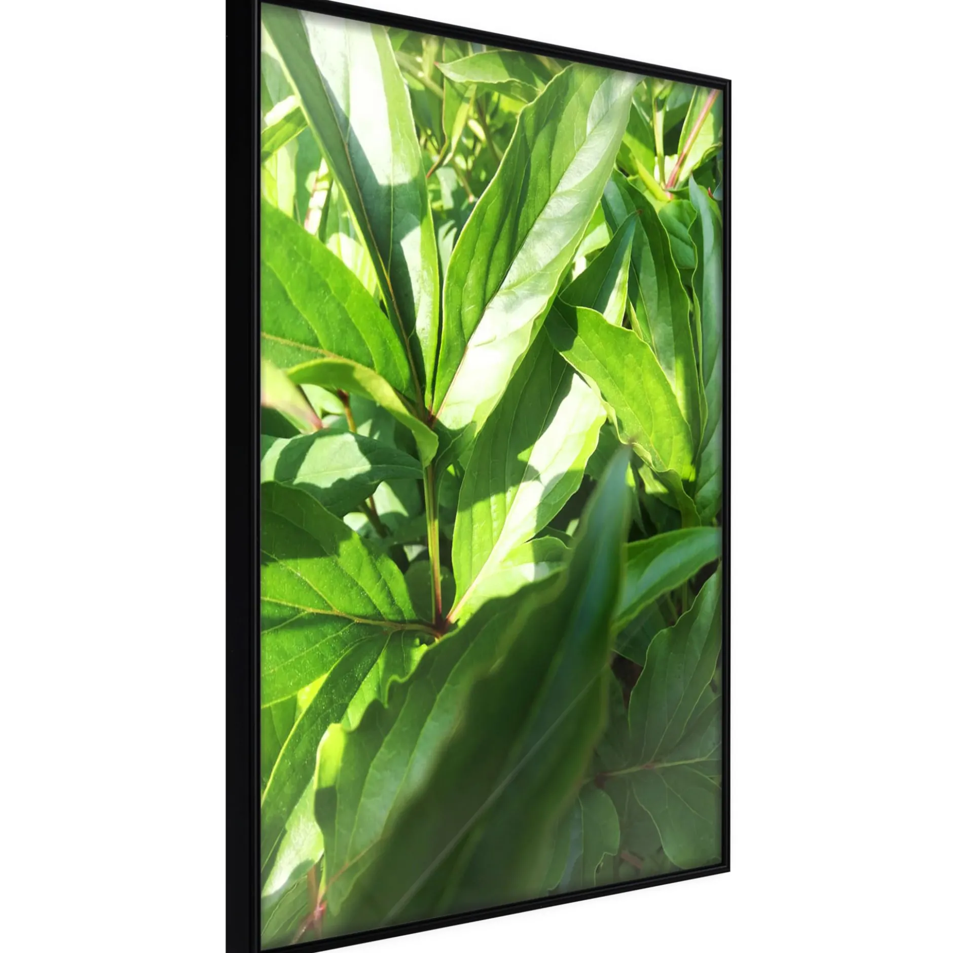 Poster 'Somewhere in the Garden'