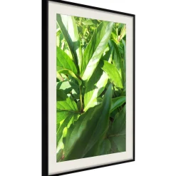 Poster 'Somewhere in the Garden'