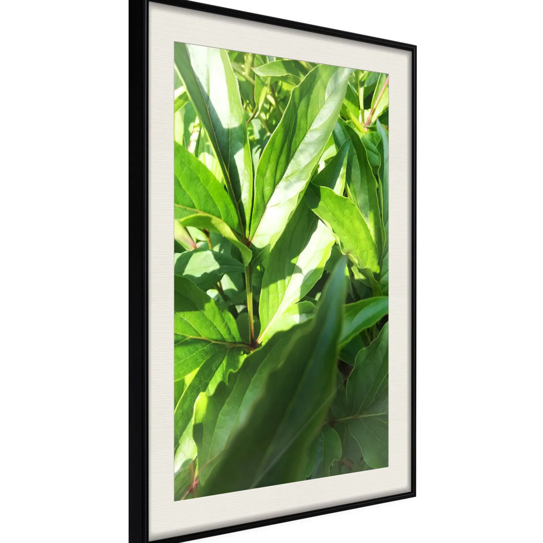 Poster 'Somewhere in the Garden'