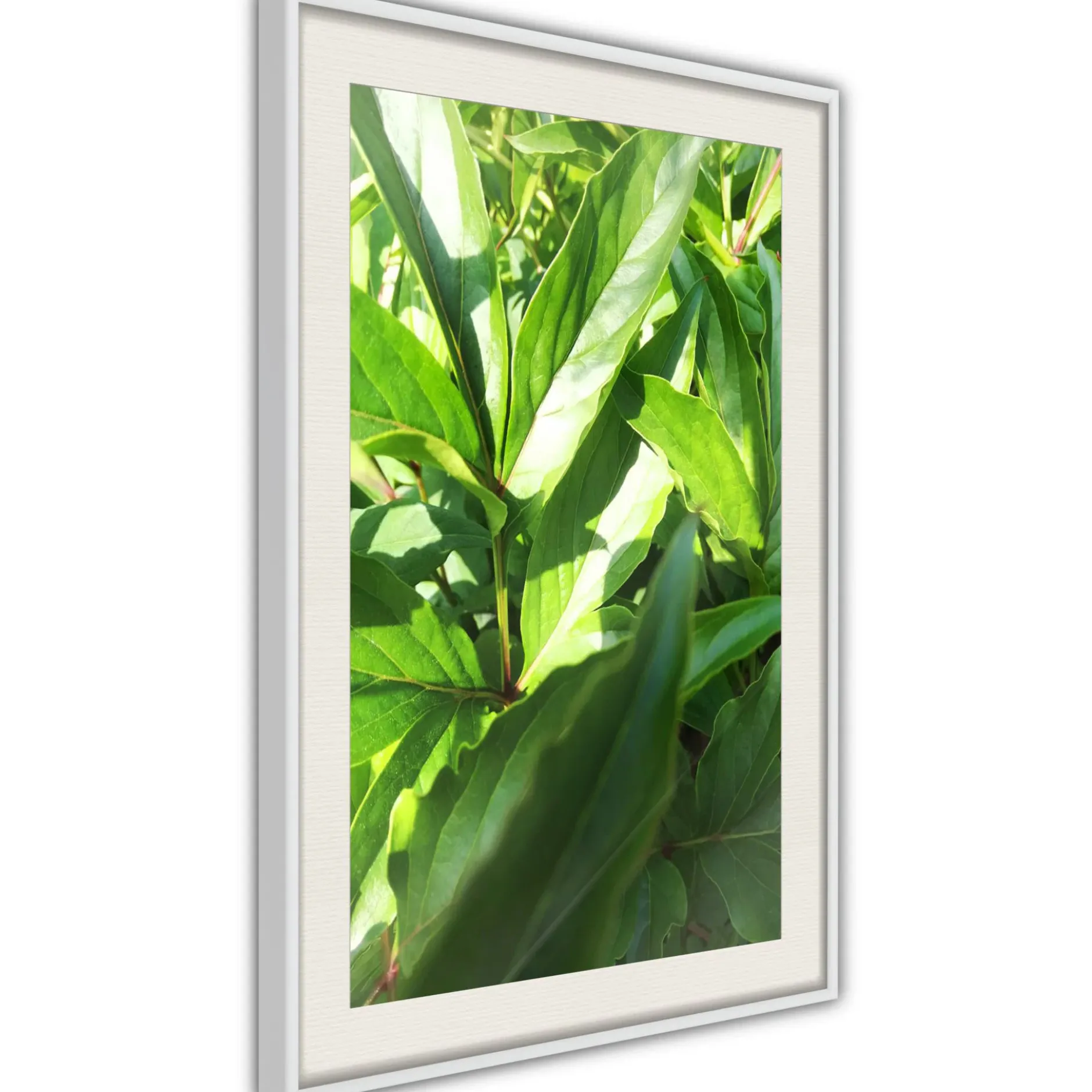 Poster 'Somewhere in the Garden'