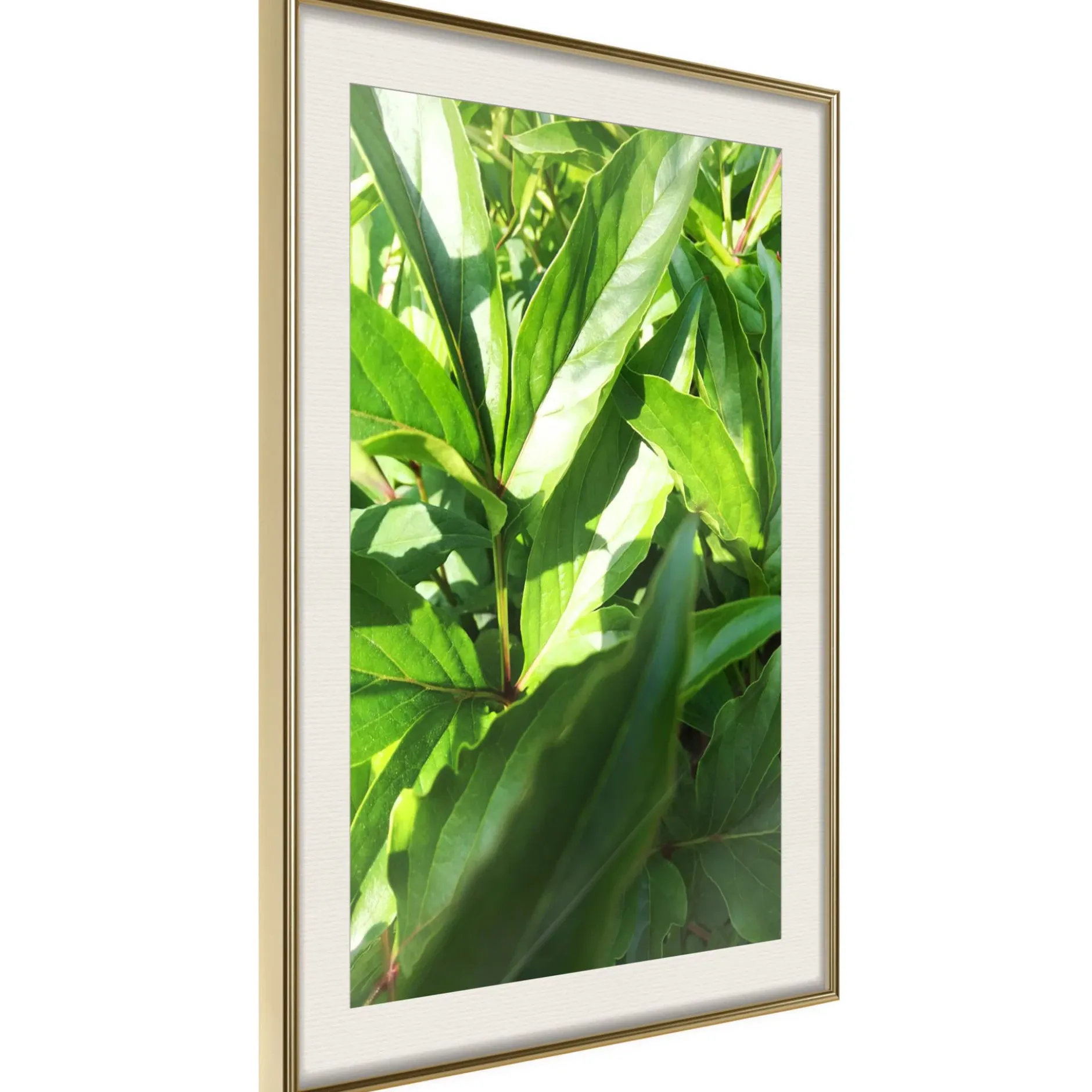 Poster 'Somewhere in the Garden'