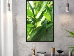 Poster 'Somewhere in the Garden'