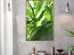 Poster 'Somewhere in the Garden'