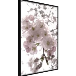 Poster 'Spring Visit'