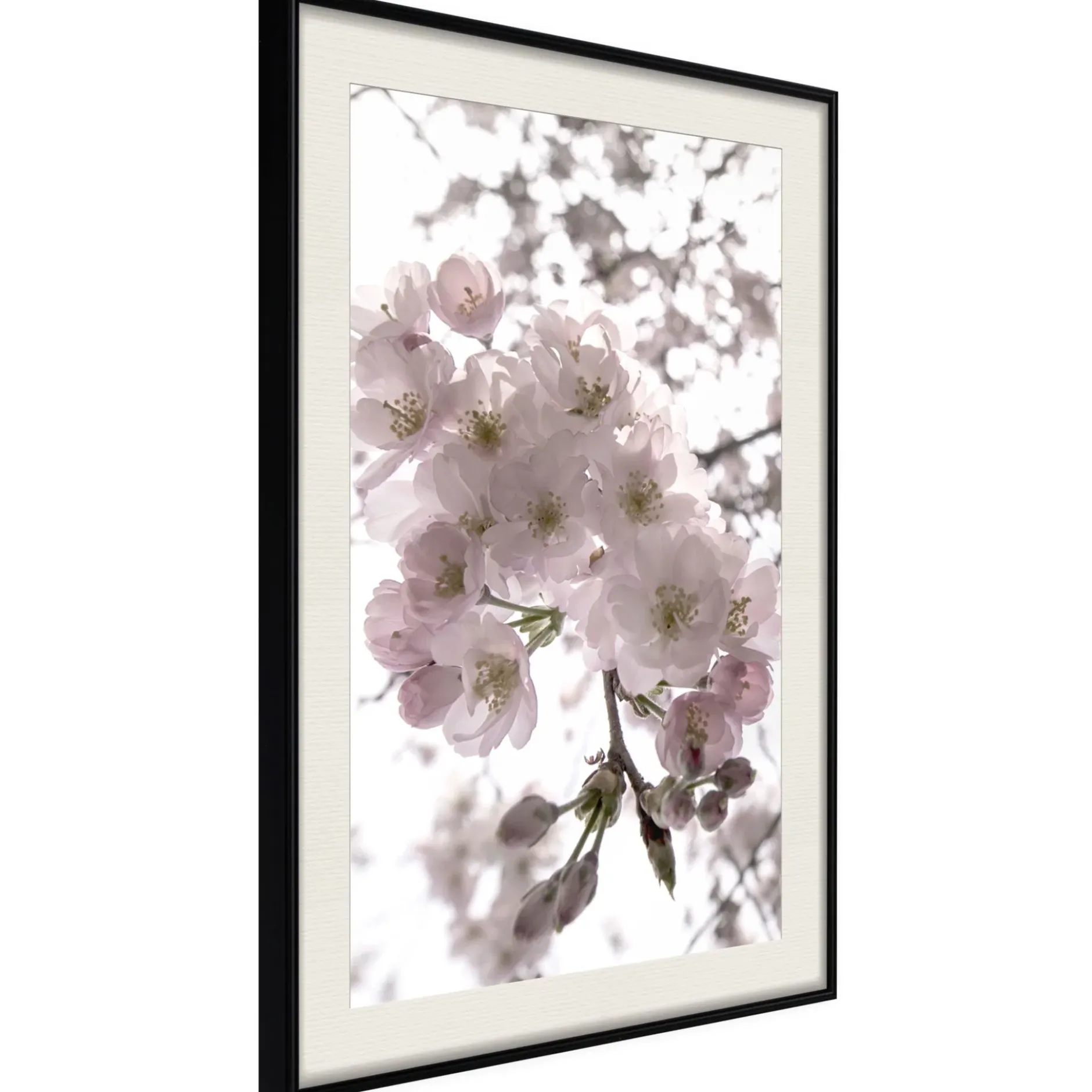 Poster 'Spring Visit'