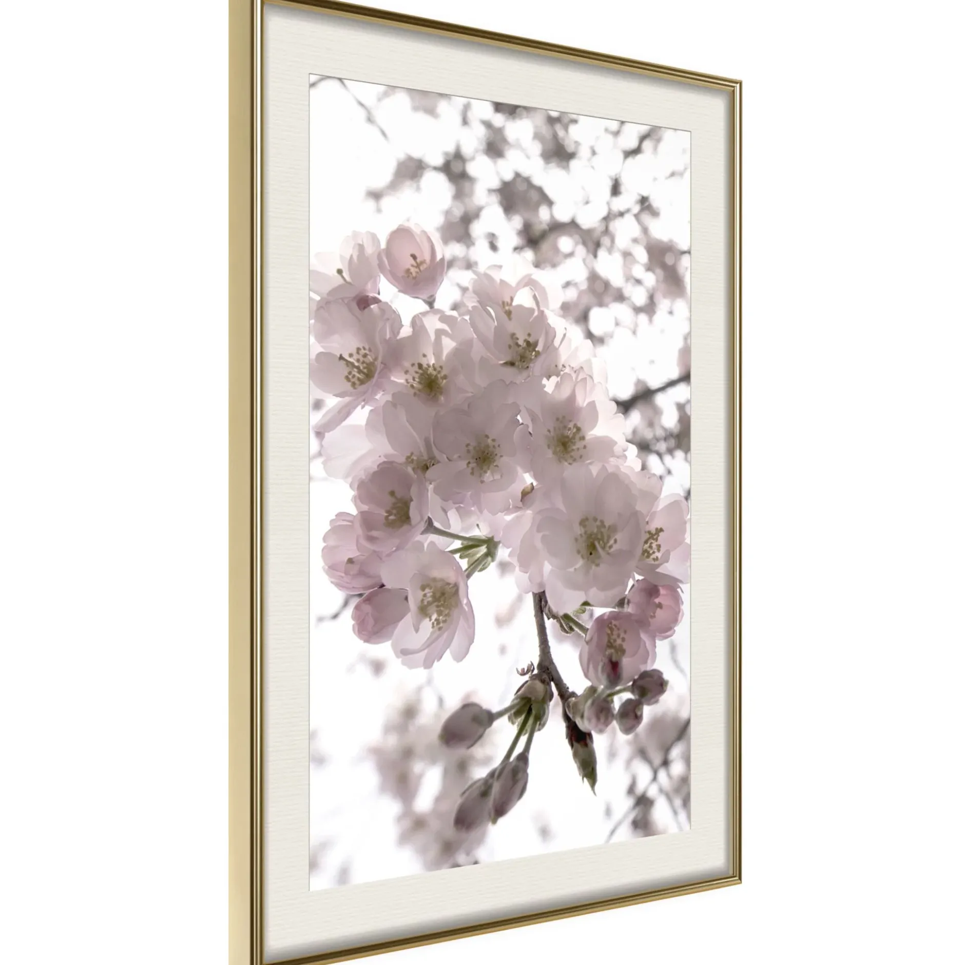 Poster 'Spring Visit'
