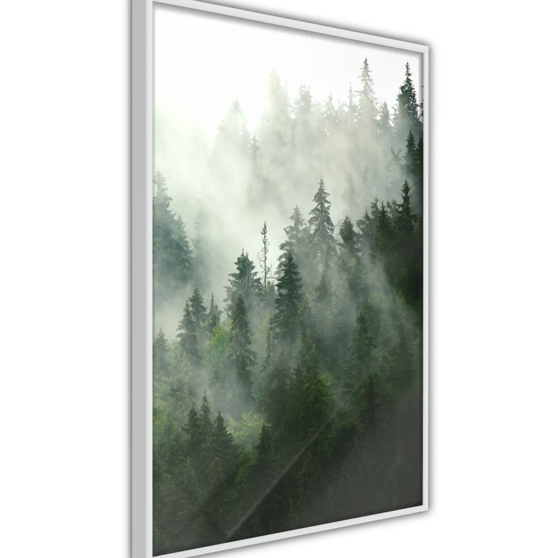 Poster 'Steaming Forest'