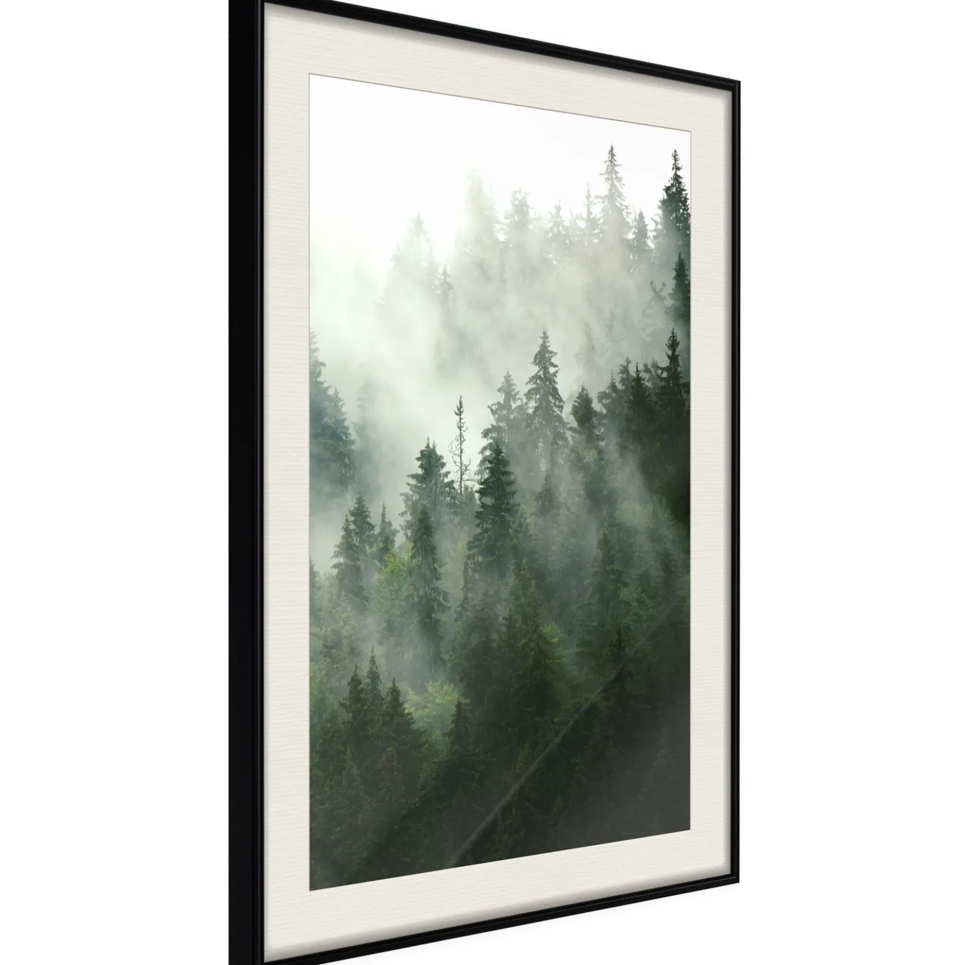 Poster 'Steaming Forest'