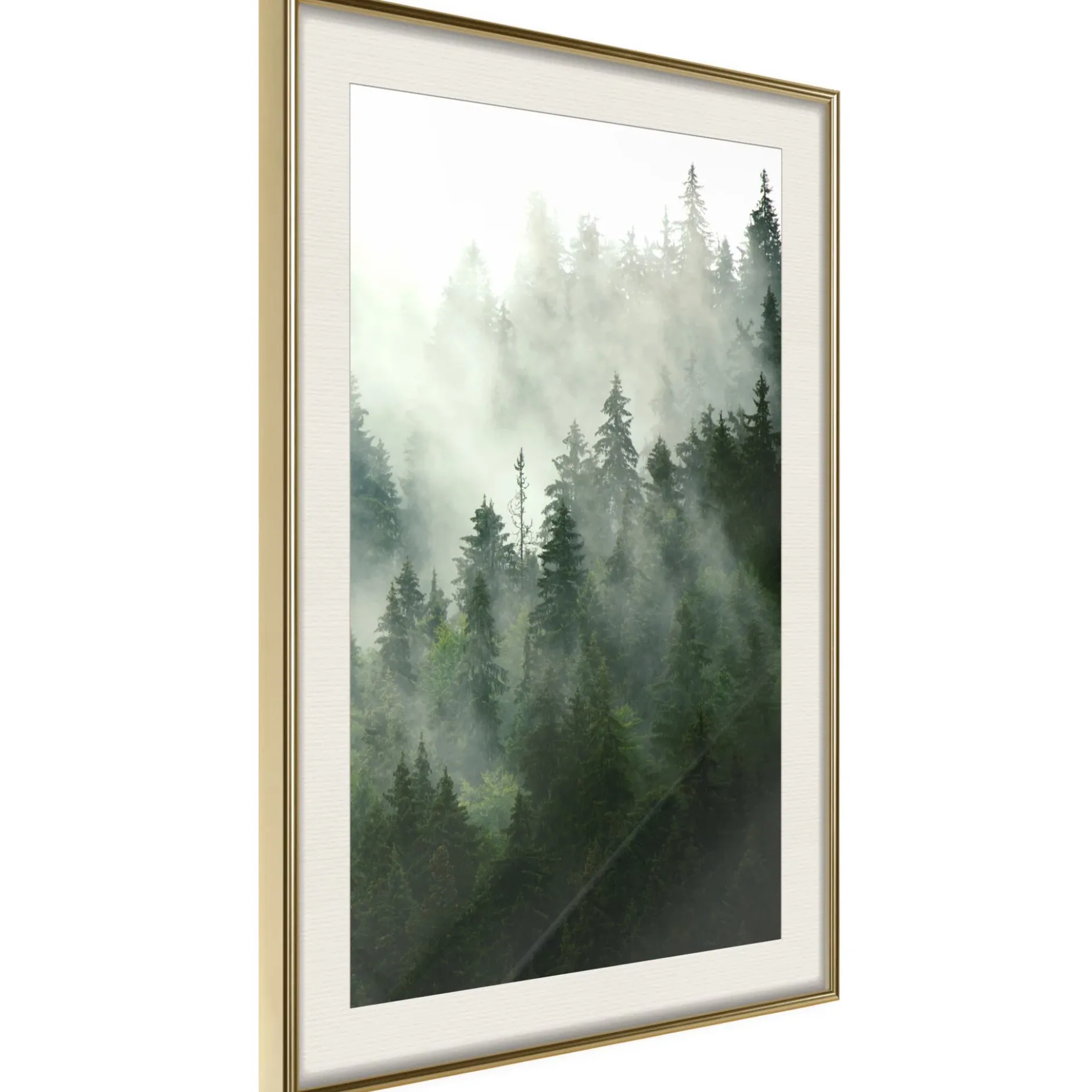 Poster 'Steaming Forest'