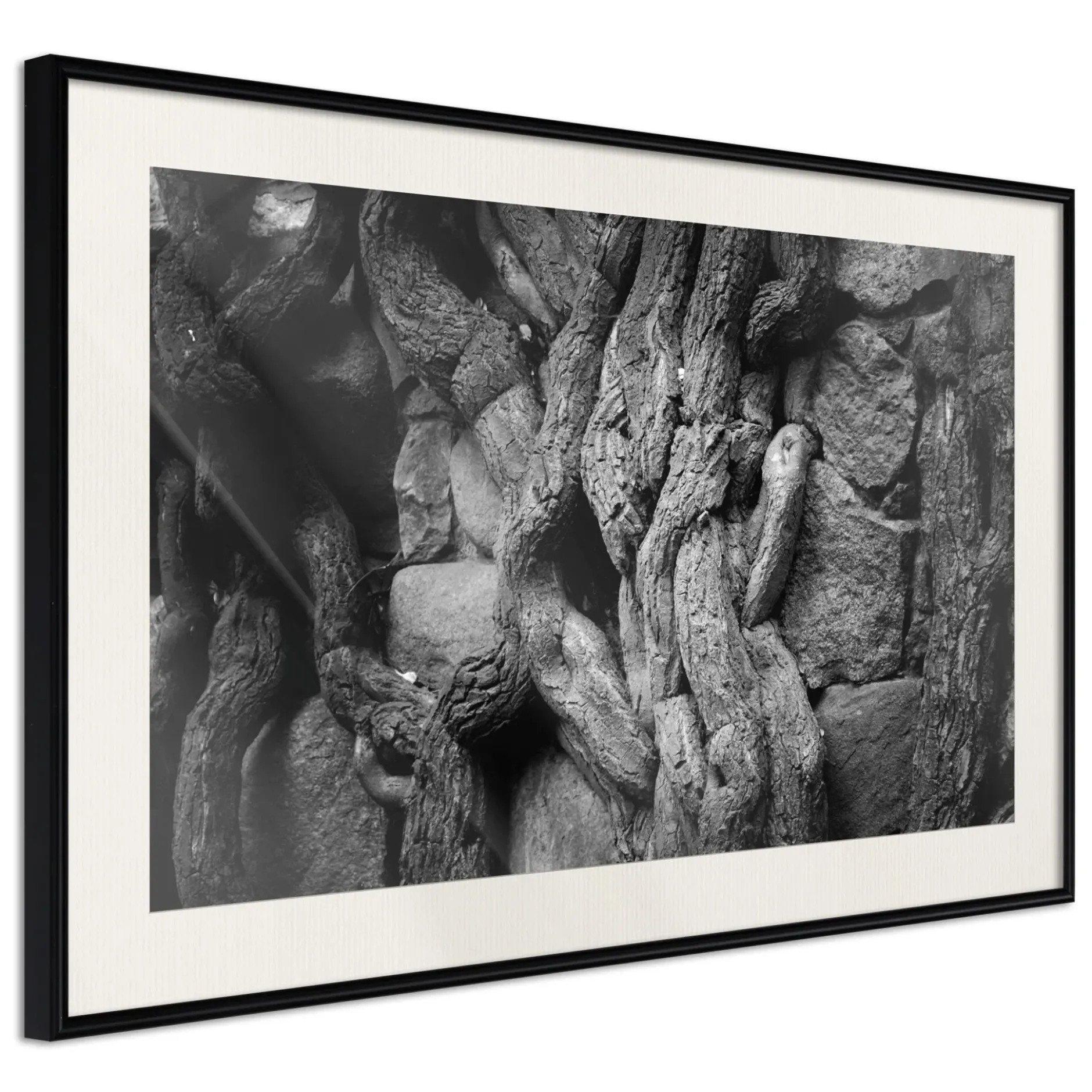 Poster 'Strong Roots'