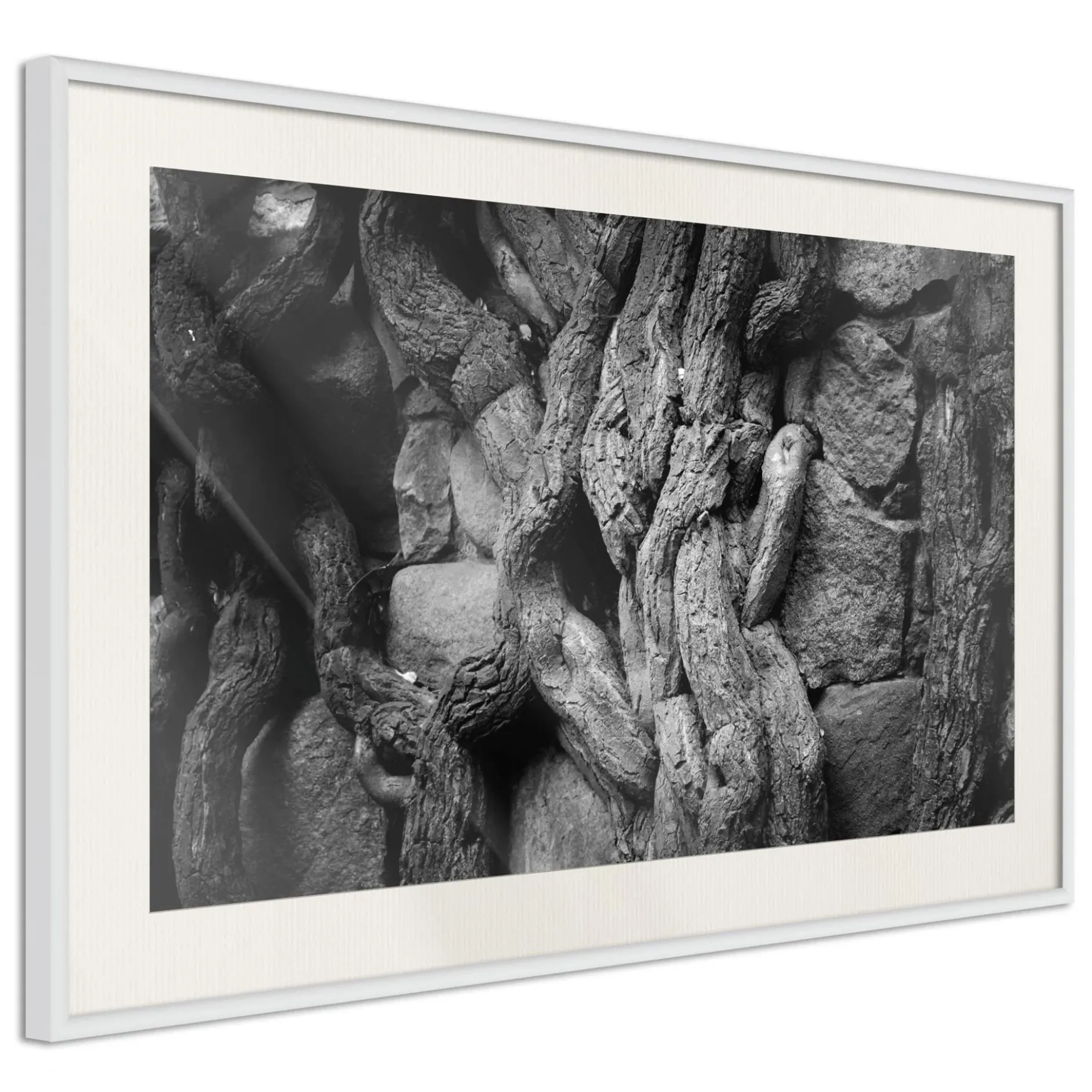 Poster 'Strong Roots'