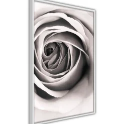Poster 'Structure of Petals'