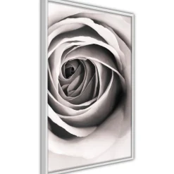 Poster 'Structure of Petals'