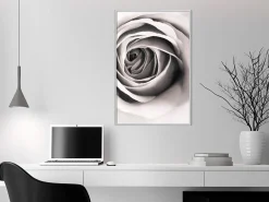 Poster 'Structure of Petals'