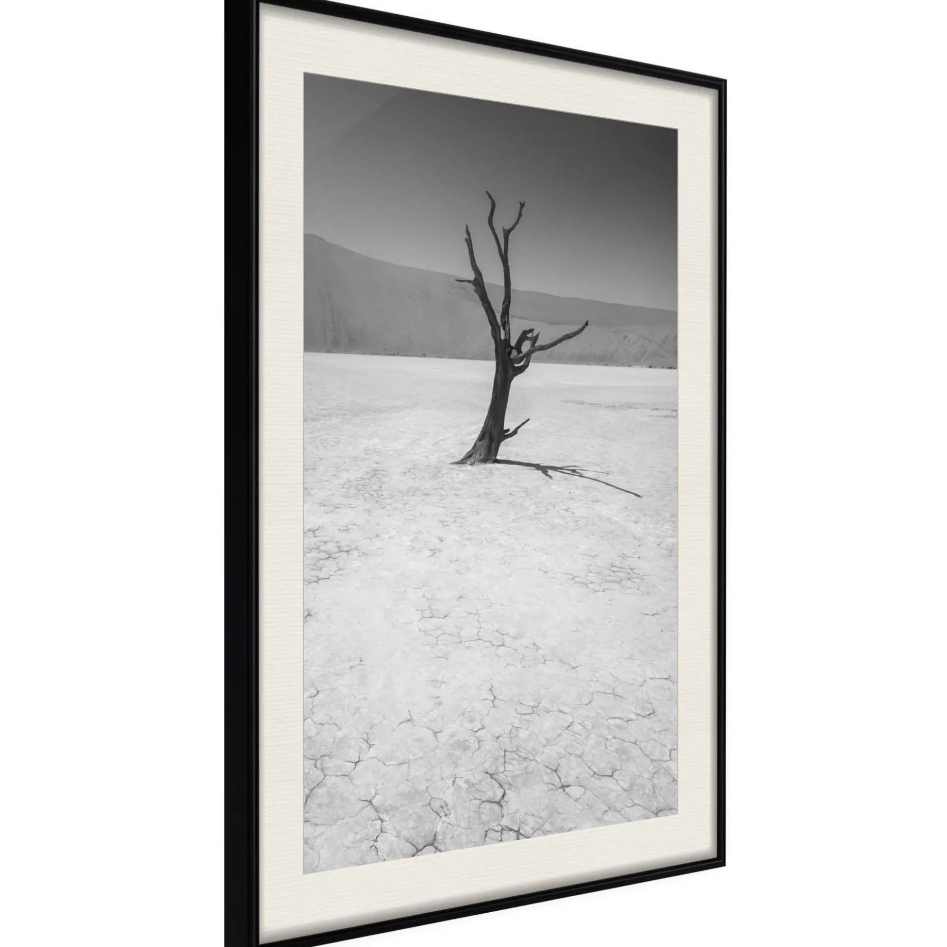 Poster 'Survivor'