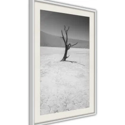 Poster 'Survivor'