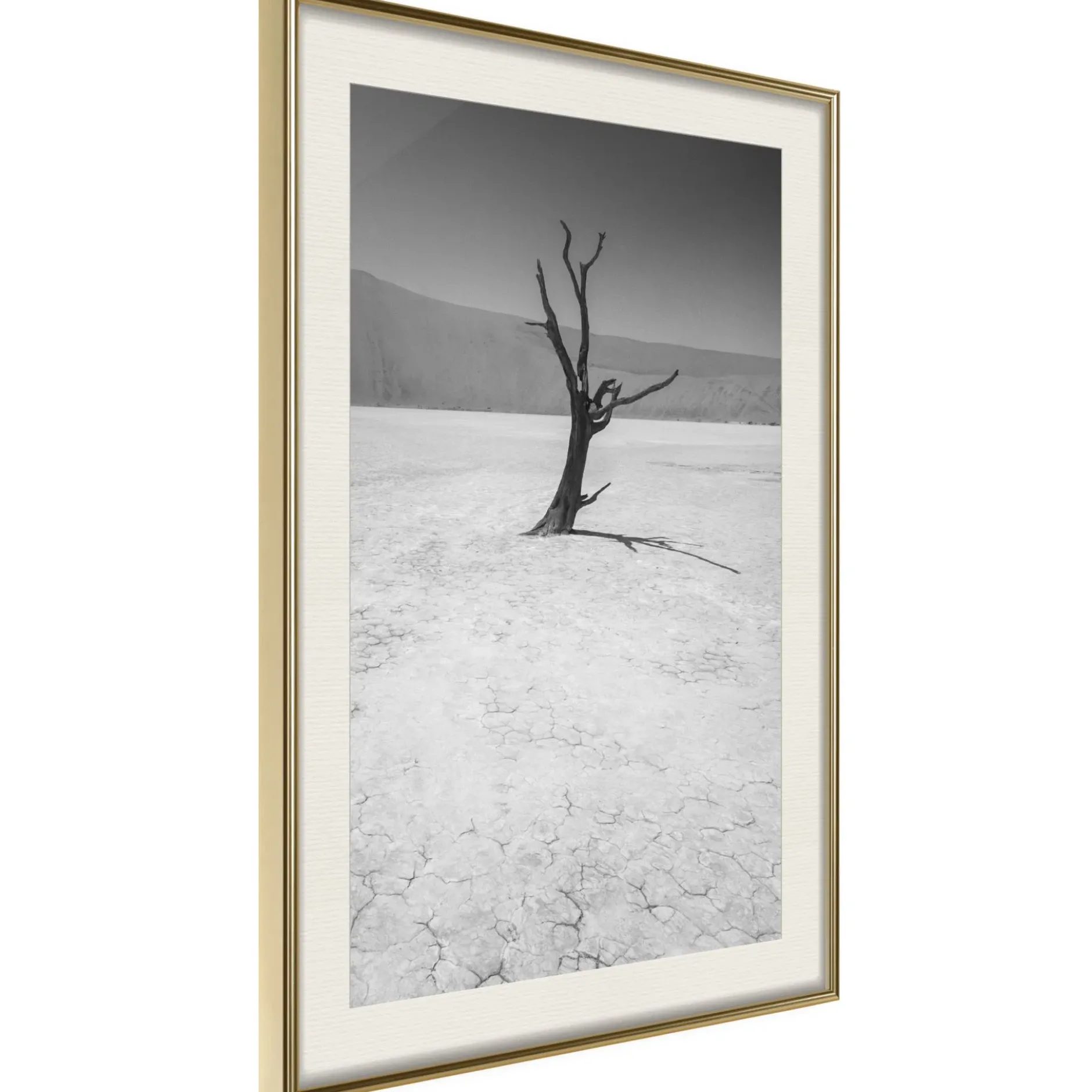 Poster 'Survivor'