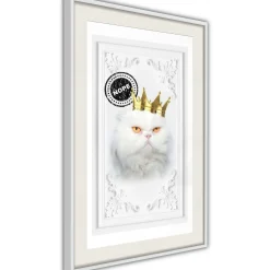 Poster 'The King Cat'
