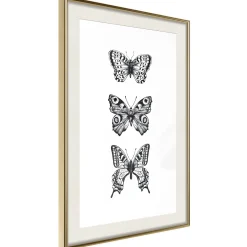 Poster 'Three Butterflies'