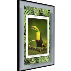 Poster 'Toucan in the Frame'