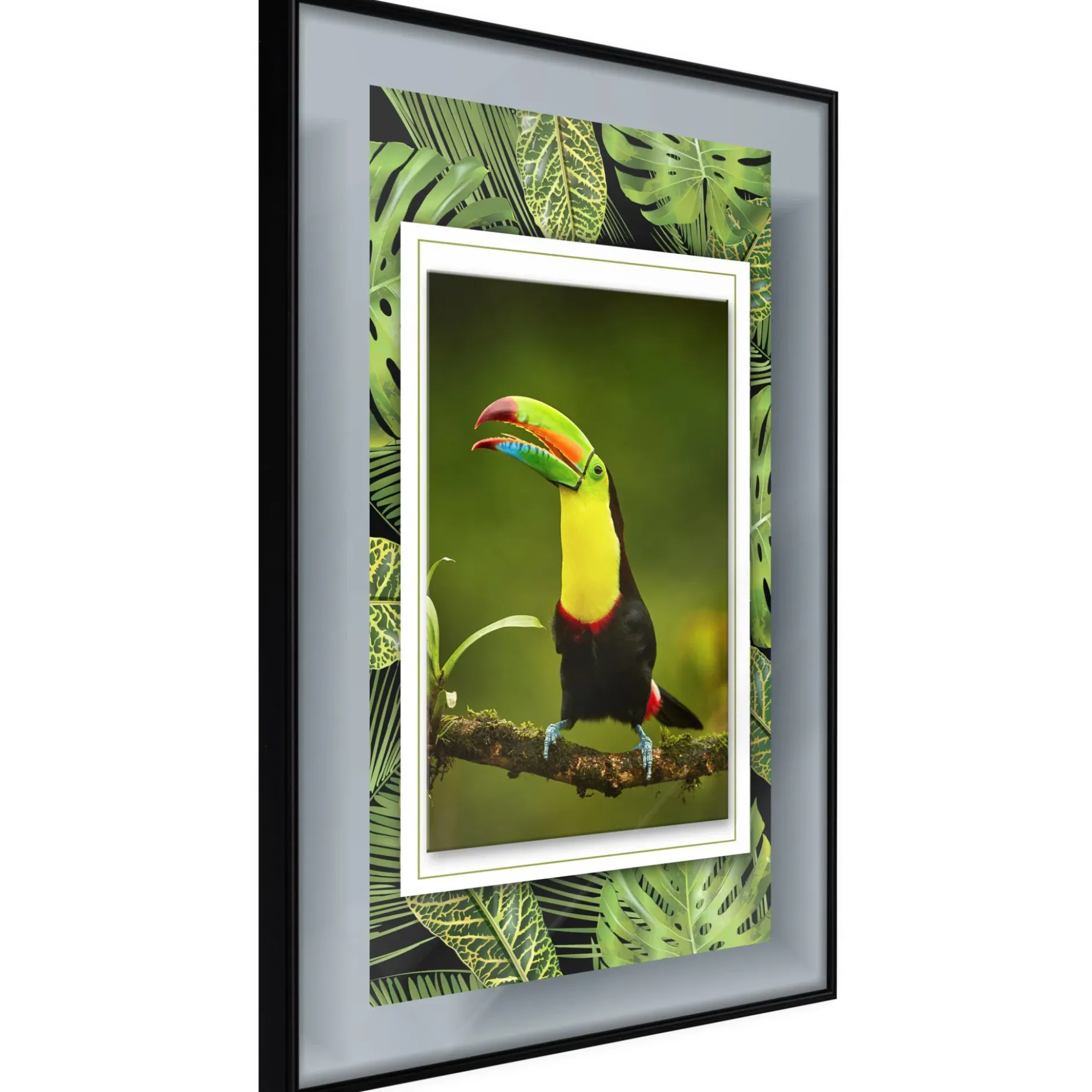 Poster 'Toucan in the Frame'