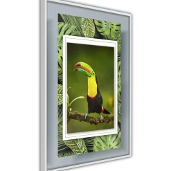 Poster 'Toucan in the Frame'