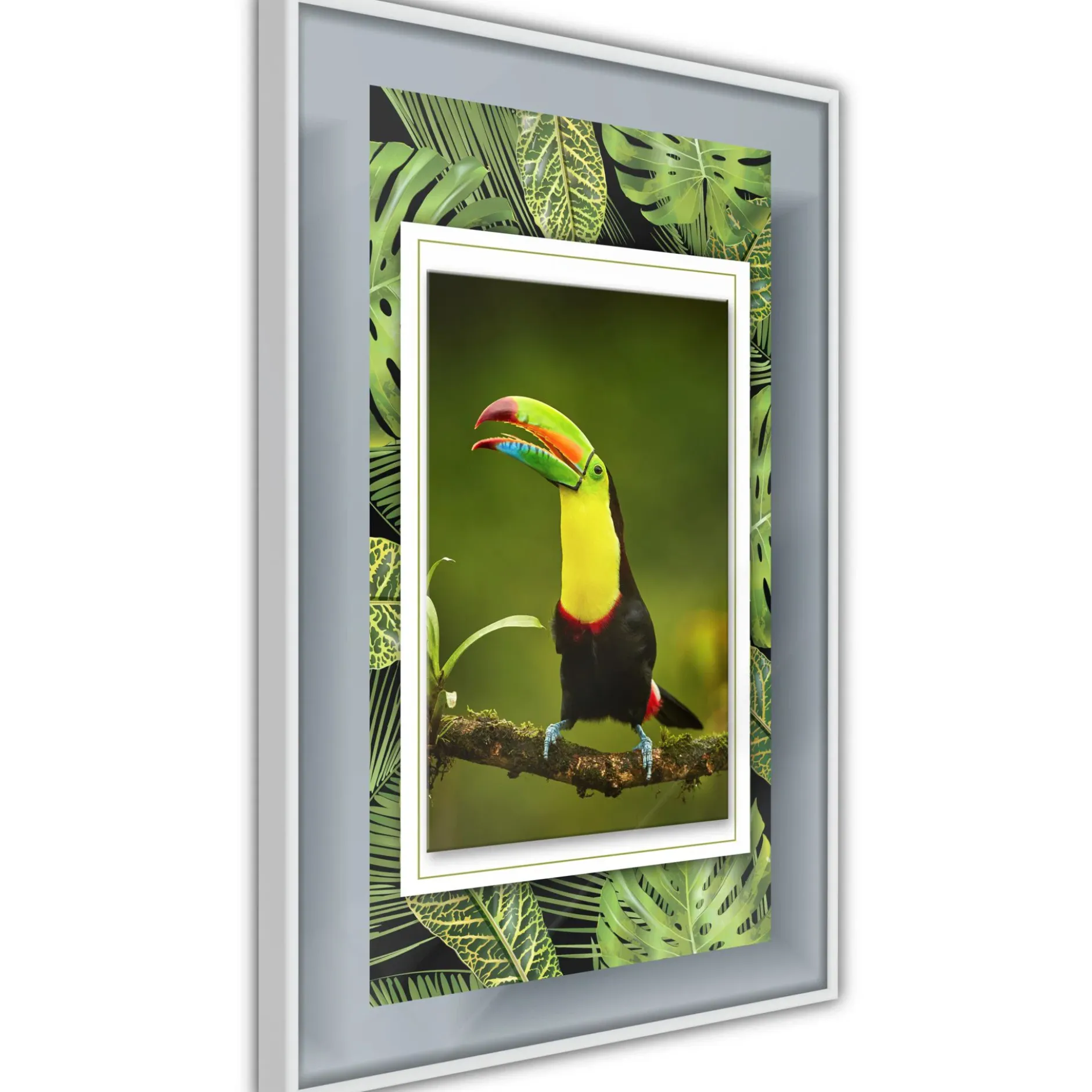 Poster 'Toucan in the Frame'