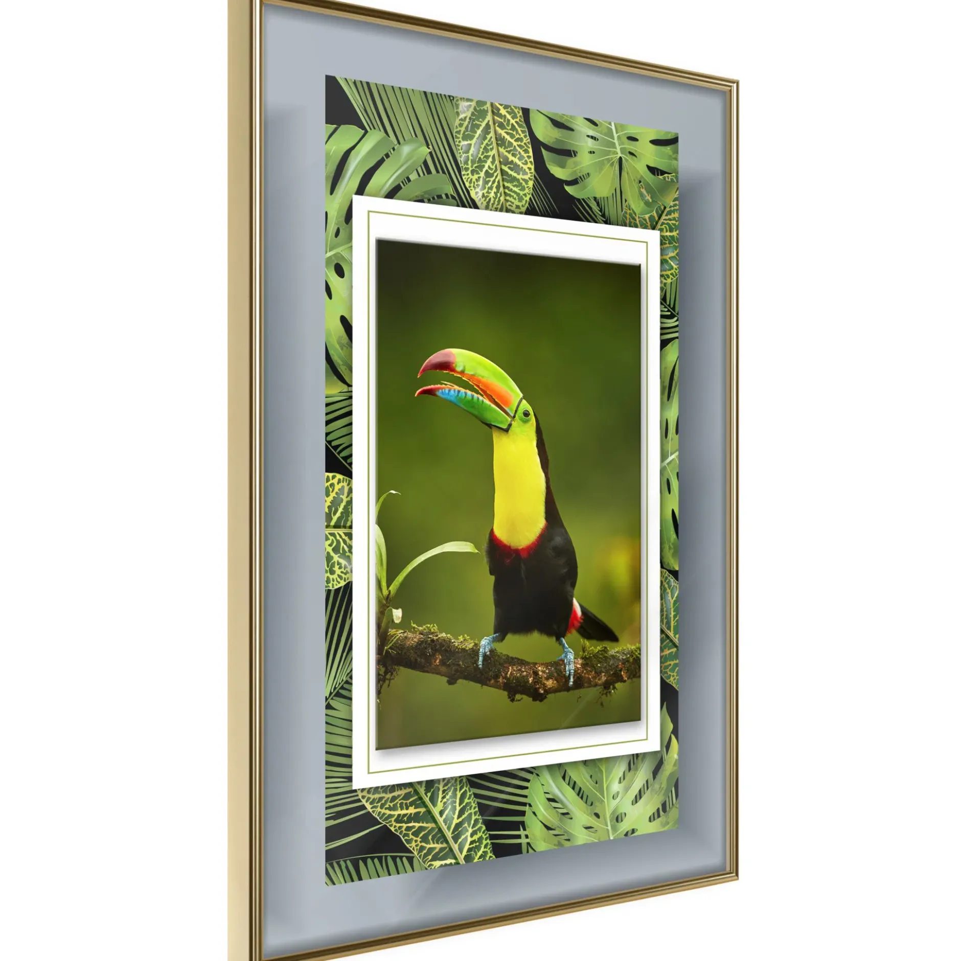 Poster 'Toucan in the Frame'