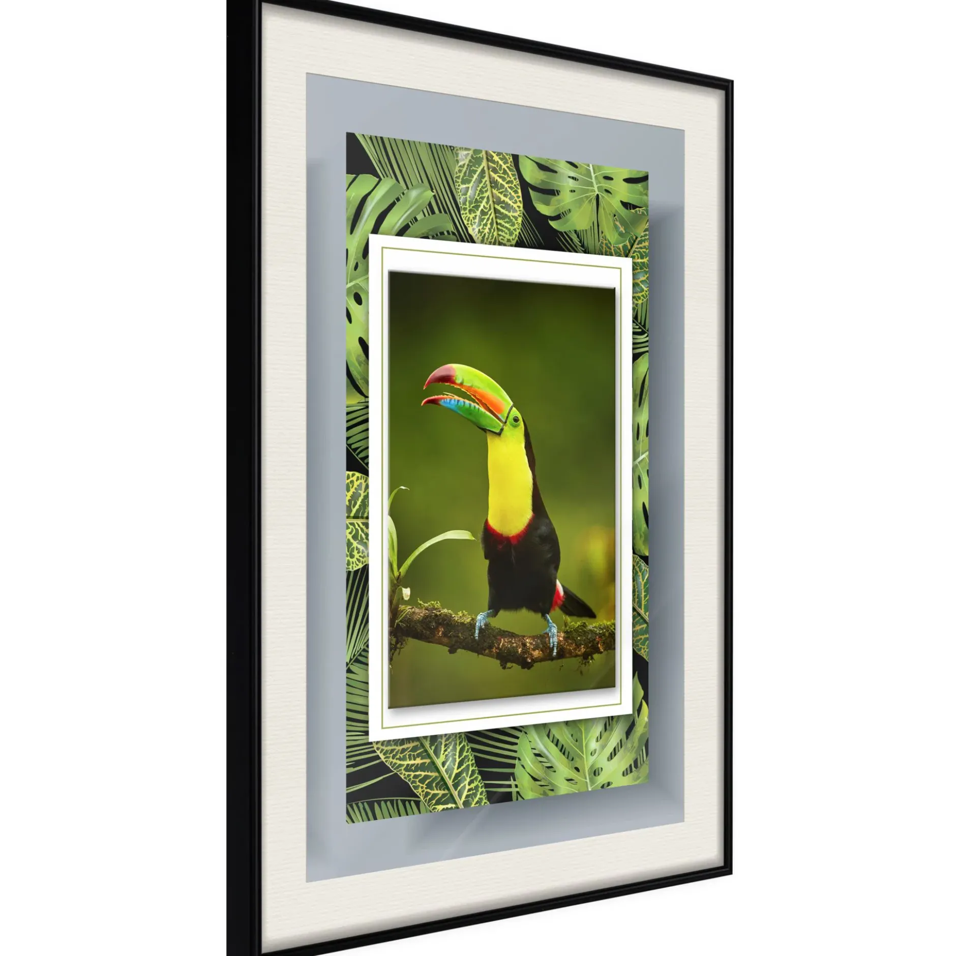 Poster 'Toucan in the Frame'