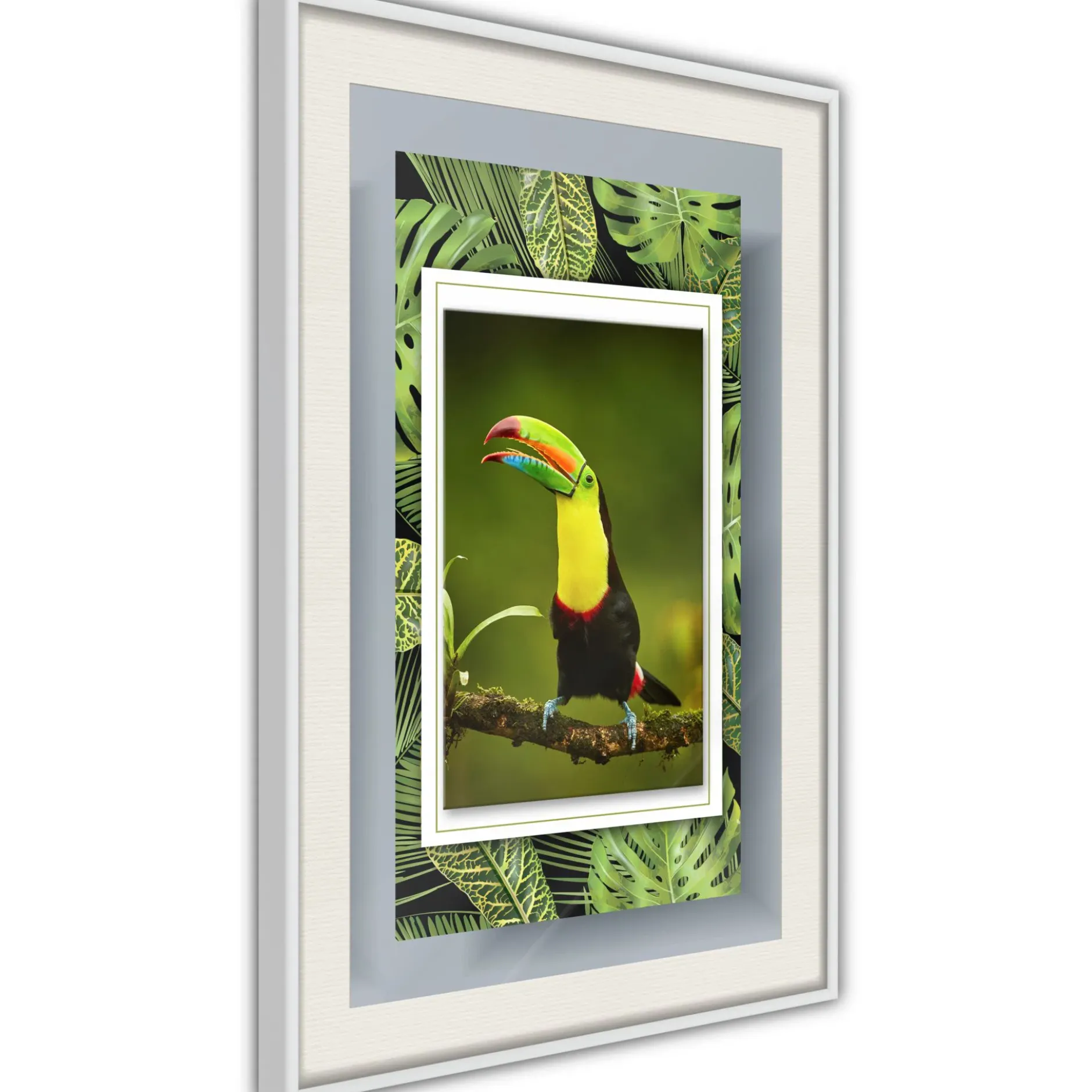 Poster 'Toucan in the Frame'