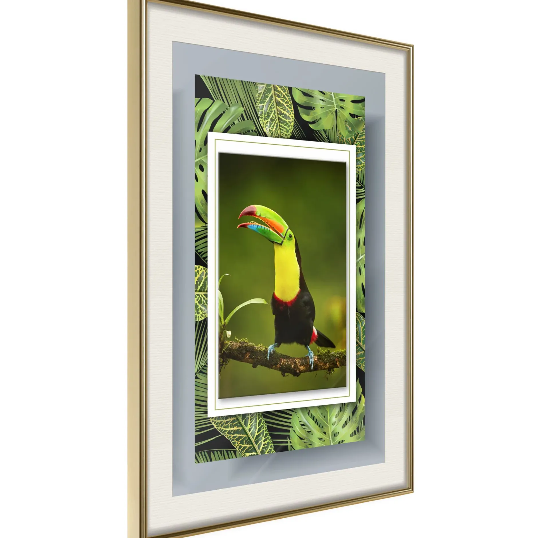 Poster 'Toucan in the Frame'