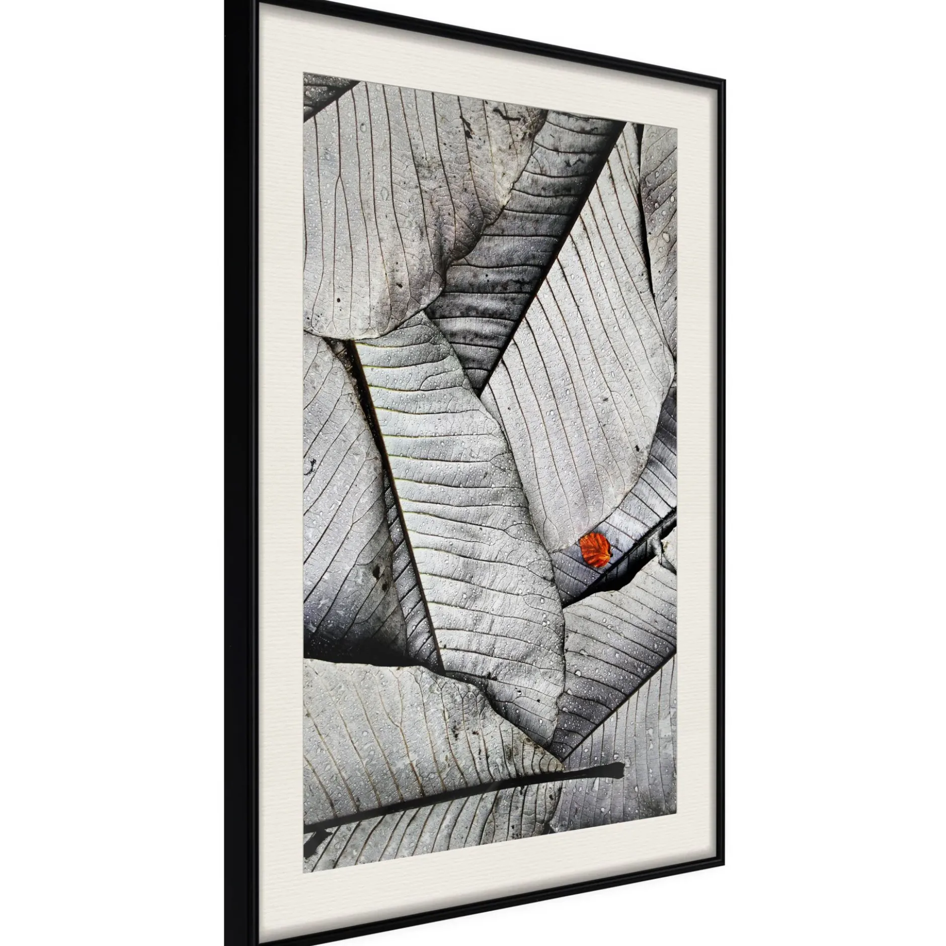 Poster 'Touch of Colour'