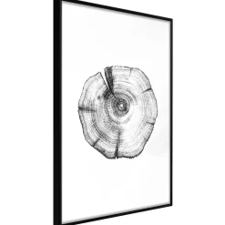 Poster 'Tree Rings'
