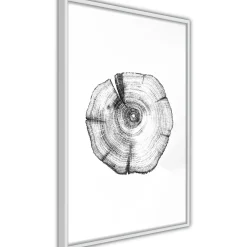 Poster 'Tree Rings'