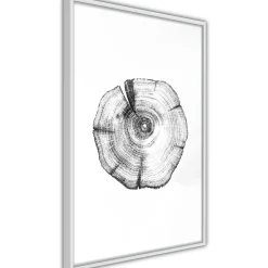 Poster 'Tree Rings'